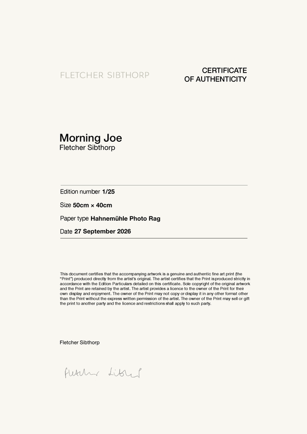 Morning Joe — Certificate of Authenticity