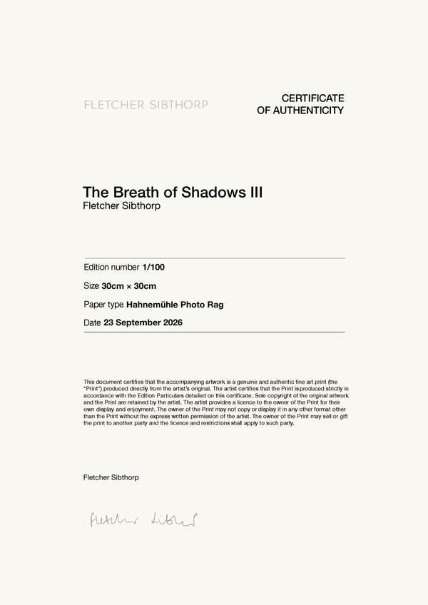 The Breath of Shadows III — Certificate of Authenticity